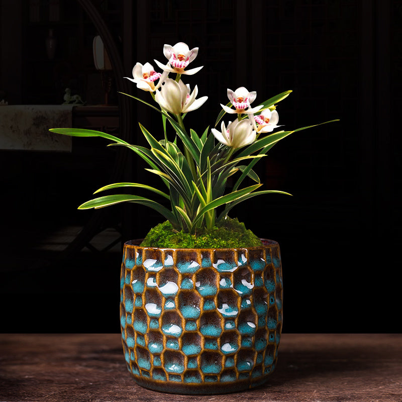 Ceramic Cylindrical Bonsai Pot for Orchids and Green Plants - Chinese Style