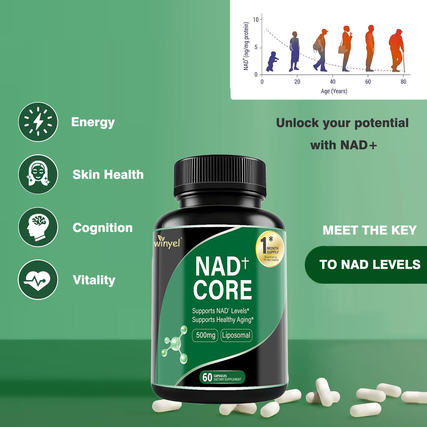 Liposomal NAD+ Enhancer Supplement - 60 Capsules for Energy & Healthy Aging