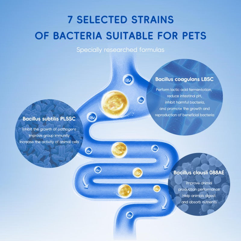 Pet Probiotics for Dogs & Cats - Gut & Immune Support, 7 Strains, 5 Billion CFU